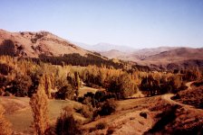 huinganco