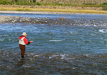 pesca-junin