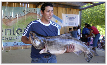 salmon ganador, carrenleufu