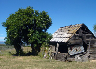 cabaña-butch-cassidy