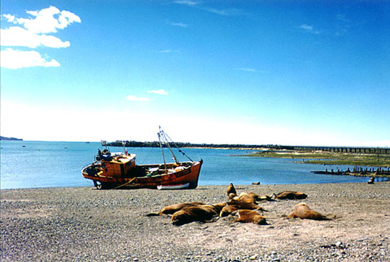 Costa de Comodoro