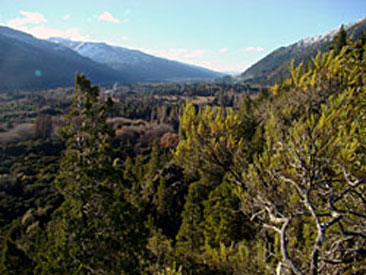 Bosque Andino Patagnico, Lago Puelo