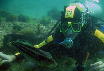 Buceo en Madryn