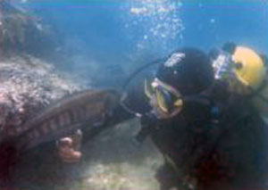 Buceo en Madryn