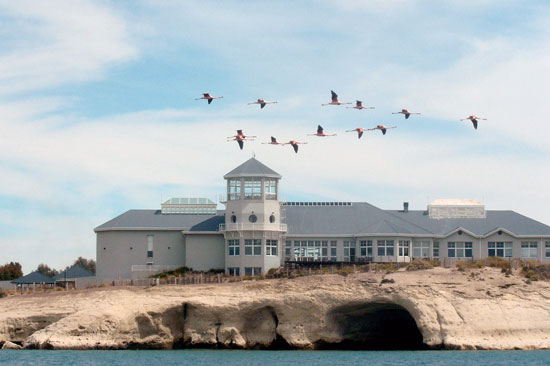 Vista del Ecocentro en Puerto Madryn