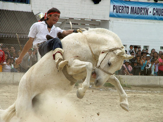 Fiesta Cordero, Madryn