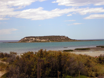 Isla de los Pjaros, Puerto Madryn