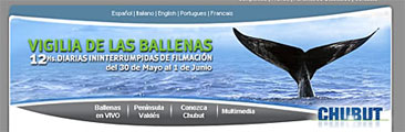 Vigilia de Ballenas en Madryn