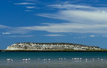 isla-pajaros