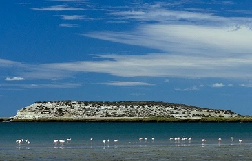 isla-pajaros