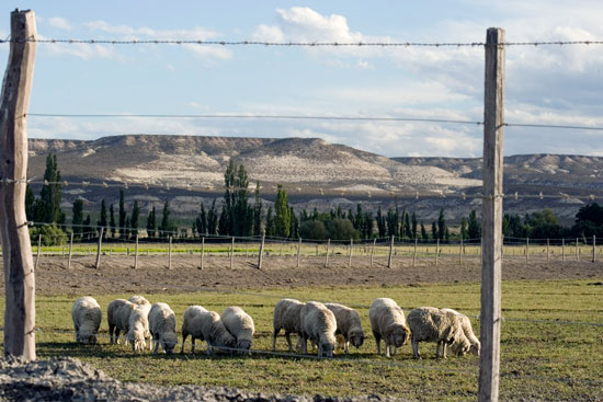 Trelew, valle ro Chubut