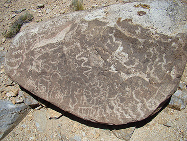 PueblosOriginarios-Colo-Michi-Co