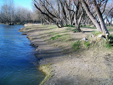 centenario-balneario