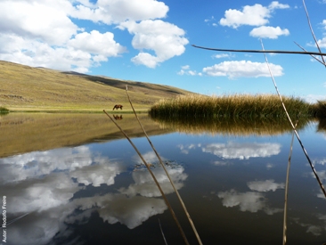 parque tromen, neuquen