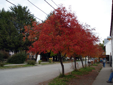 junin-de-los-andes