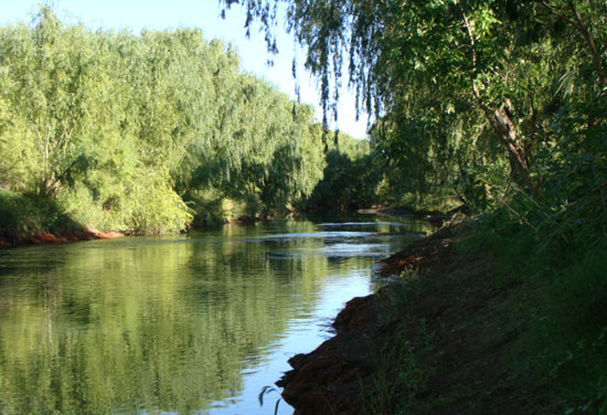 río Negro, Choele