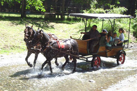 bolson paseos carruajes