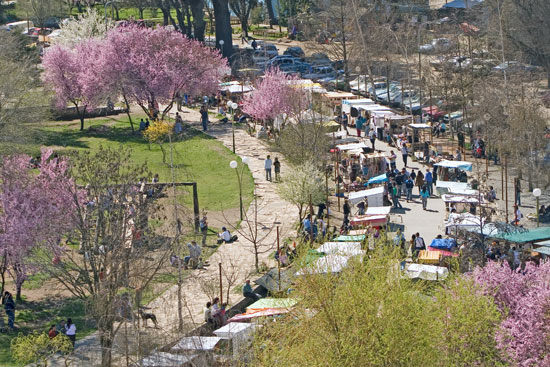 Plaza El Bolsn