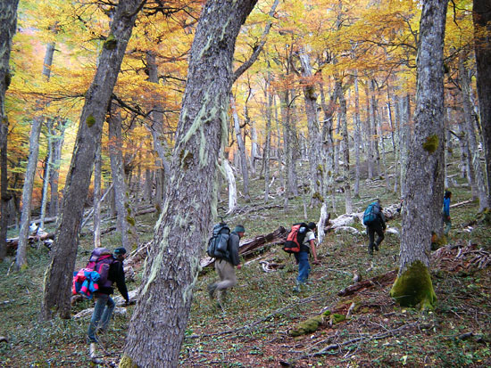 trekking en bolson