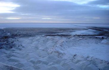 Salinas El Gualicho