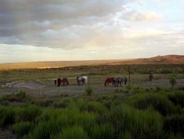 estancia los menucos