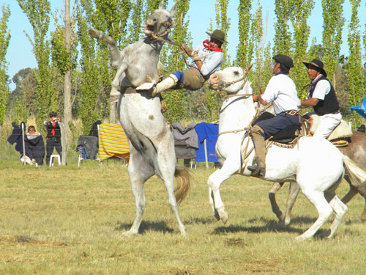 fiesta puestero, beltran