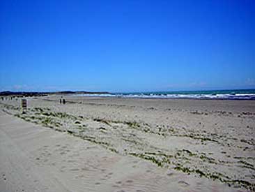 Playas Doradas