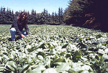 agroturismo en bariloche