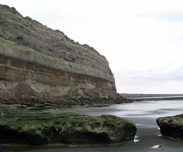 punta bermeja, viedma