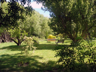 jardin botanico