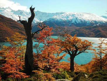 lago del desierto, el chalten