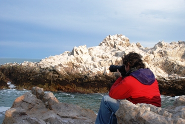 parque marino isla pinguino