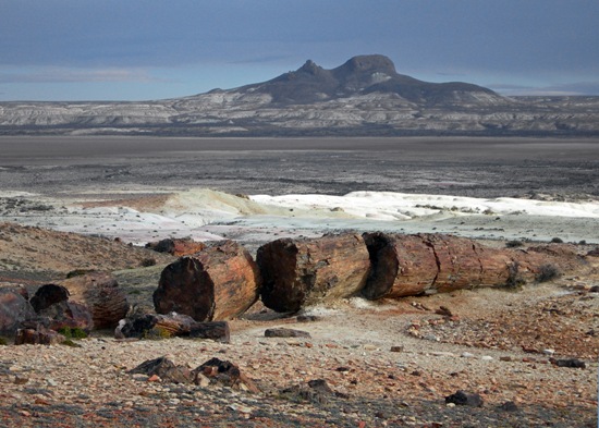 bosque petrificado jaramillo