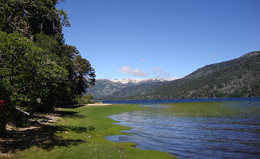 lago rucachoroy