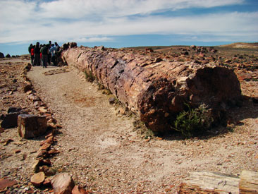 Bosque Jaramillo