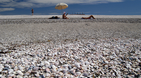 playa las grutas