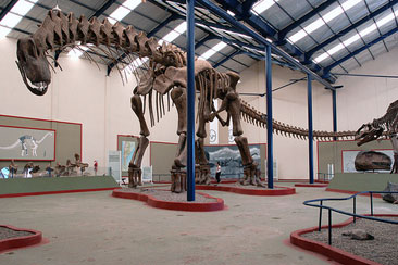 plaza huincul, argentinosaurus