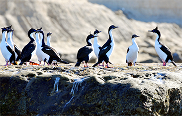 Puerto Madryn otonio