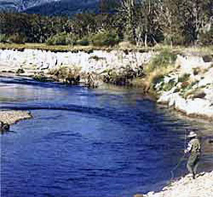 pesca, chubut